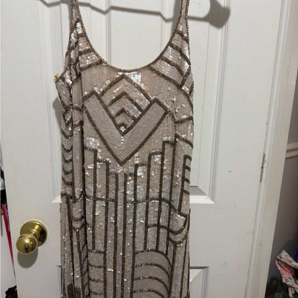 Parker XS Silk Dress with Sequin Detail